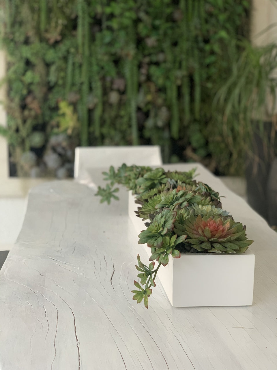81 Cm Balcony Fibre de Verre Pot avec Succulentes