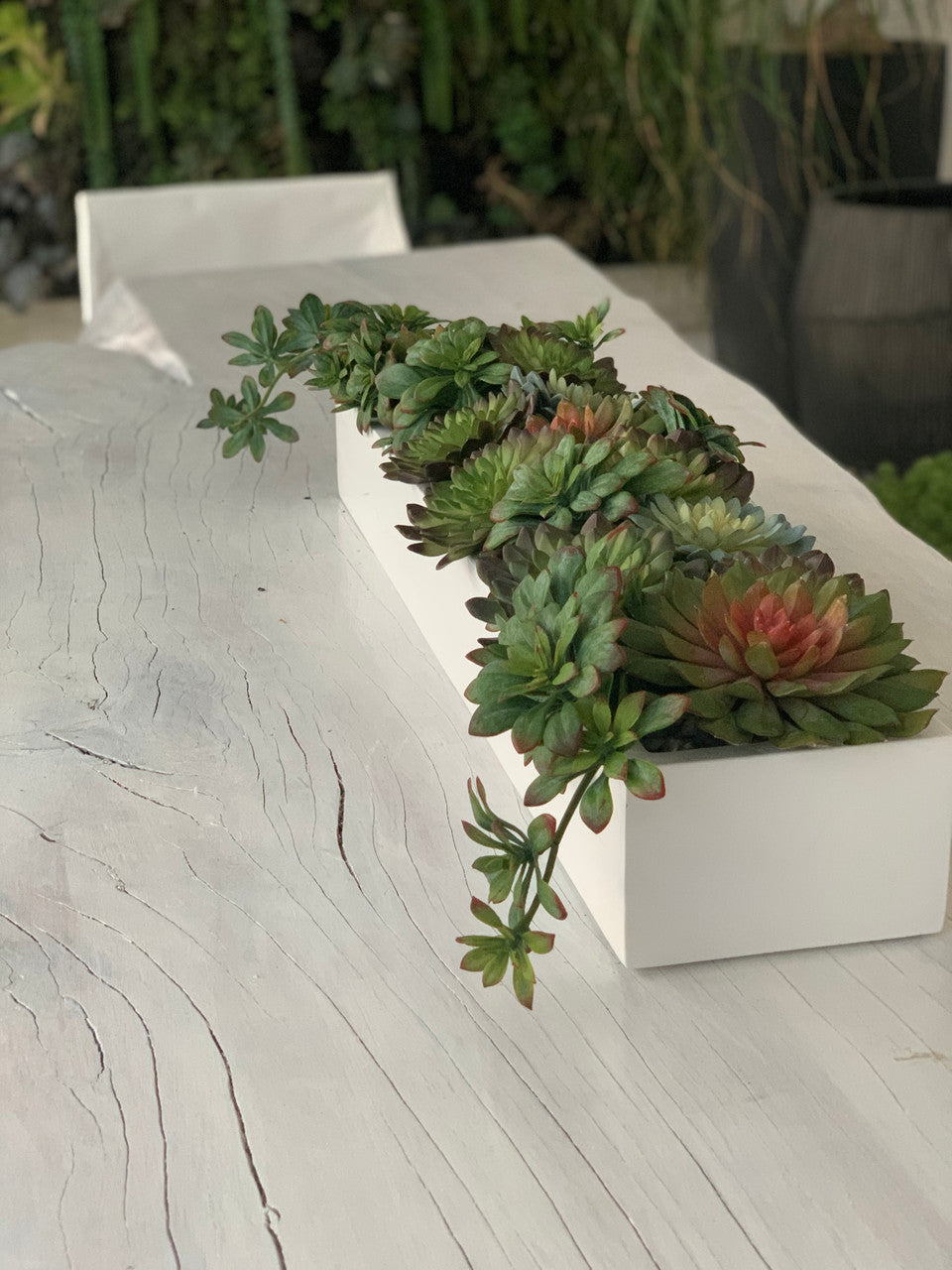 81 Cm Balcony Fibre de Verre Pot avec Succulentes