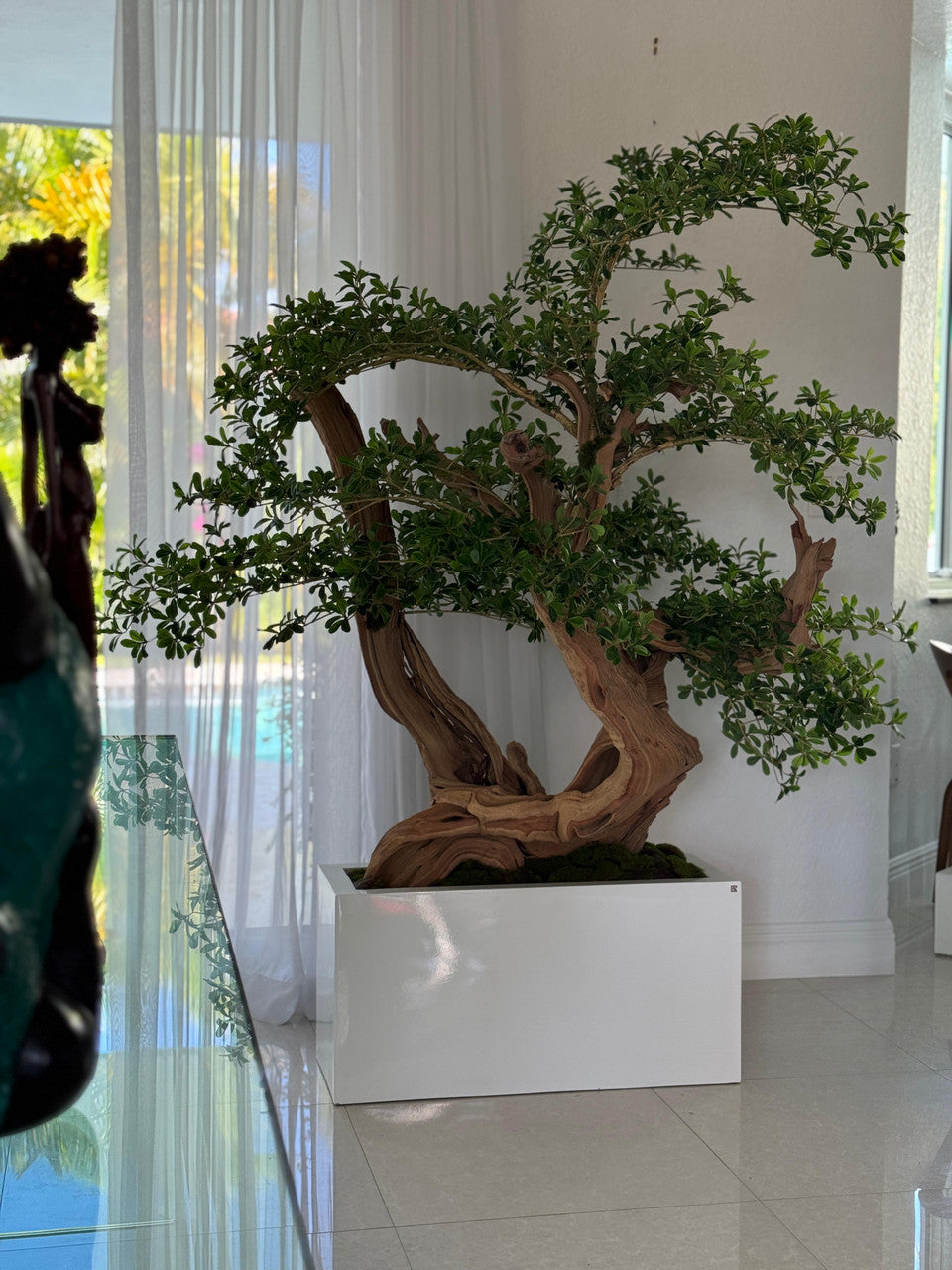 Artificiel Noir Olivier Bonsaï Arbre en Jort Low Pot
