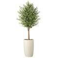 Artificiel Olivier en Mat Beige Lisbon Pot