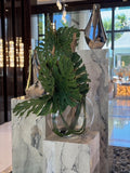 Vase Lune avec Monstera Feuille et Bois Flotté