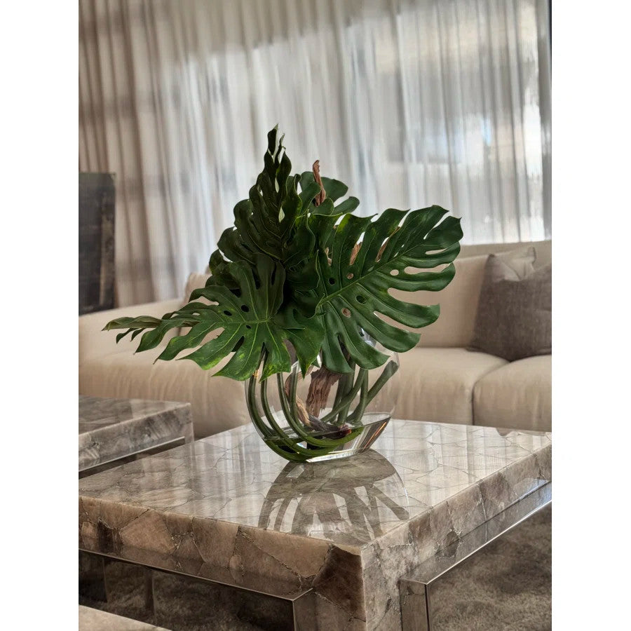 Vase Lune avec Monstera Feuille et Bois Flotté