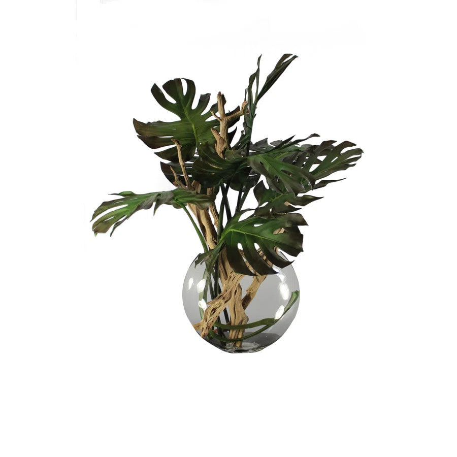 Vase Lune avec Monstera Feuille et Bois Flotté