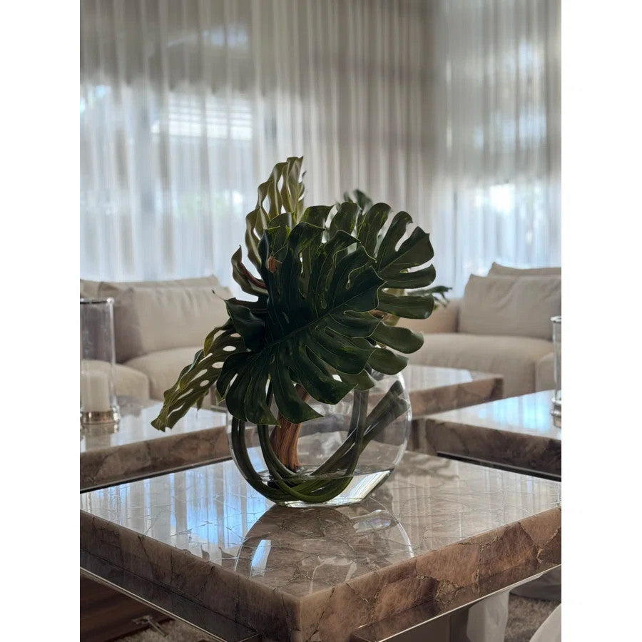 Vase Lune avec Monstera Feuille et Bois Flotté