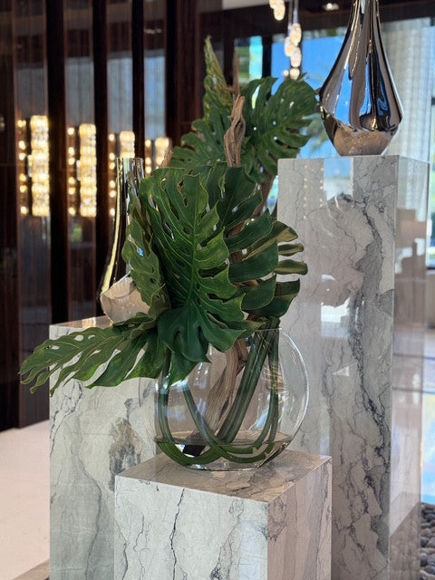 Vase Lune avec Monstera Feuille et Bois Flotté
