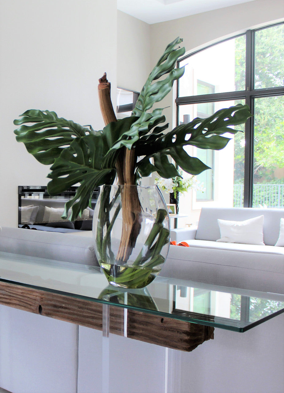 Vase Lune avec Monstera Feuille et Bois Flotté