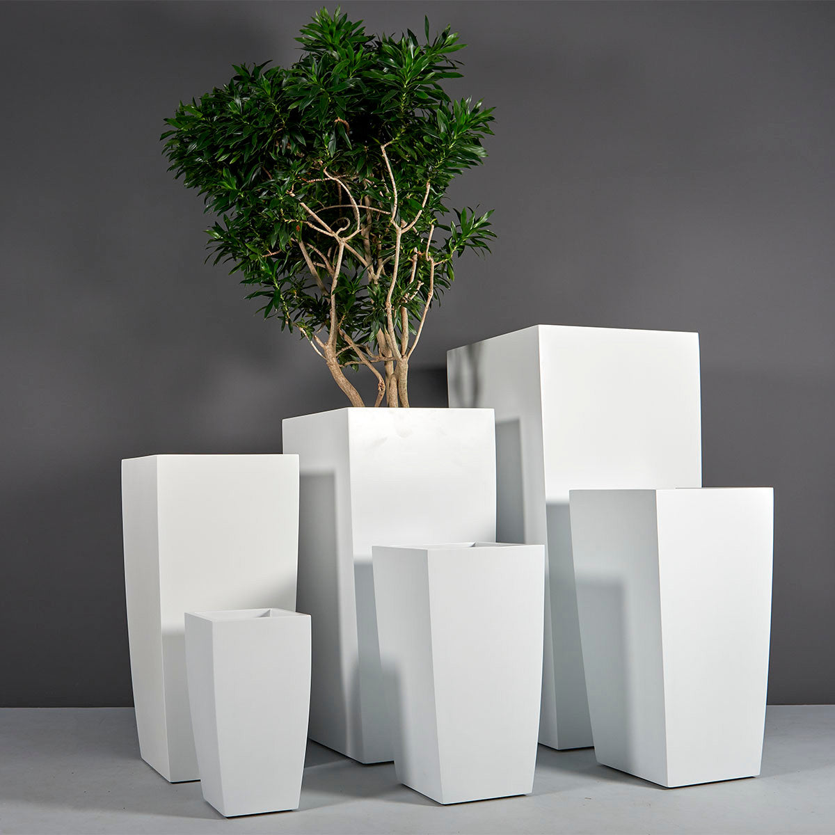 Toulan Square Pot