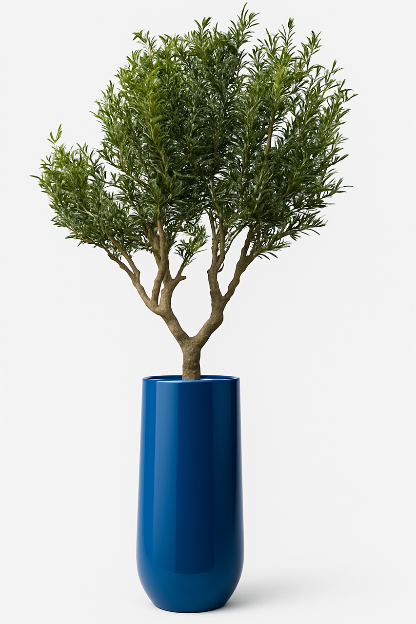 Artificiel Olivier en Saint Tropez Pot