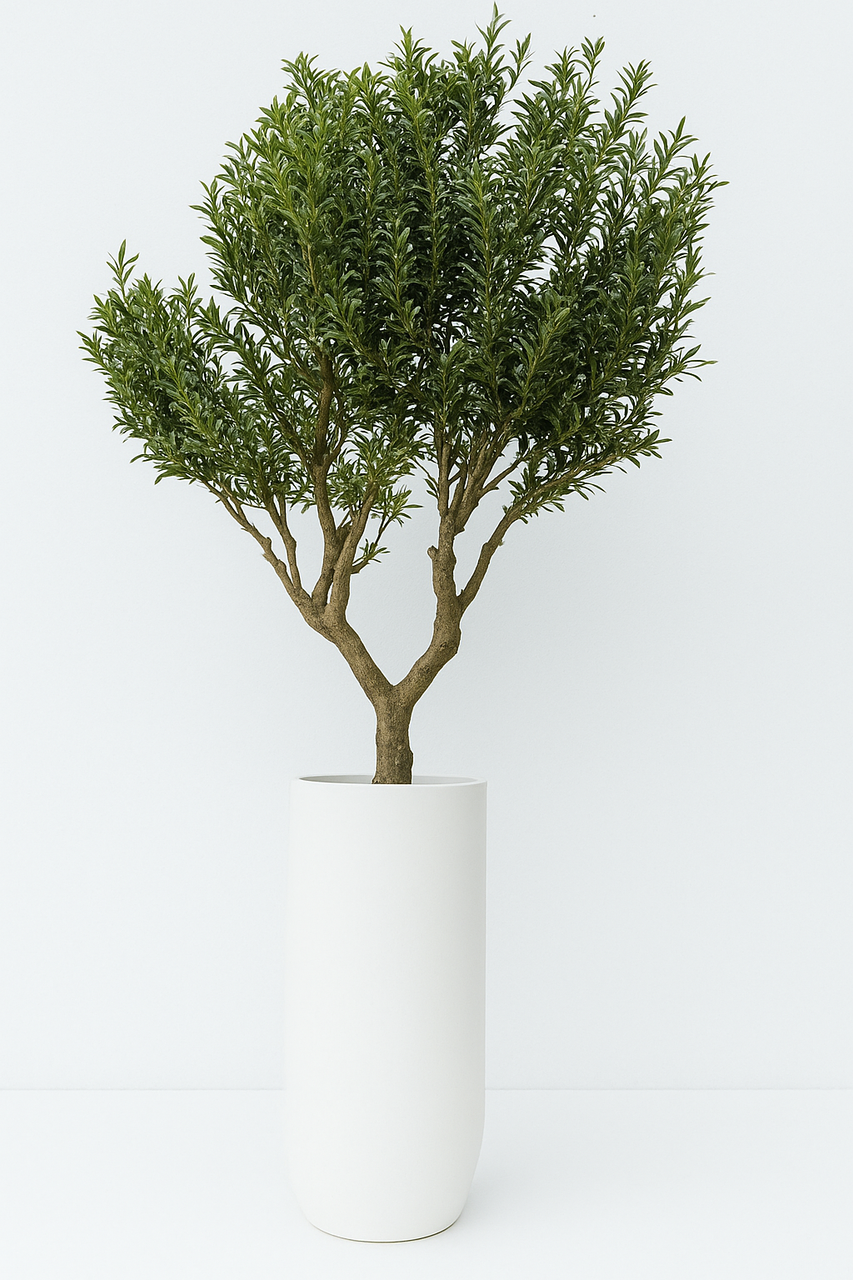 Artificiel Olivier en Saint Tropez Pot