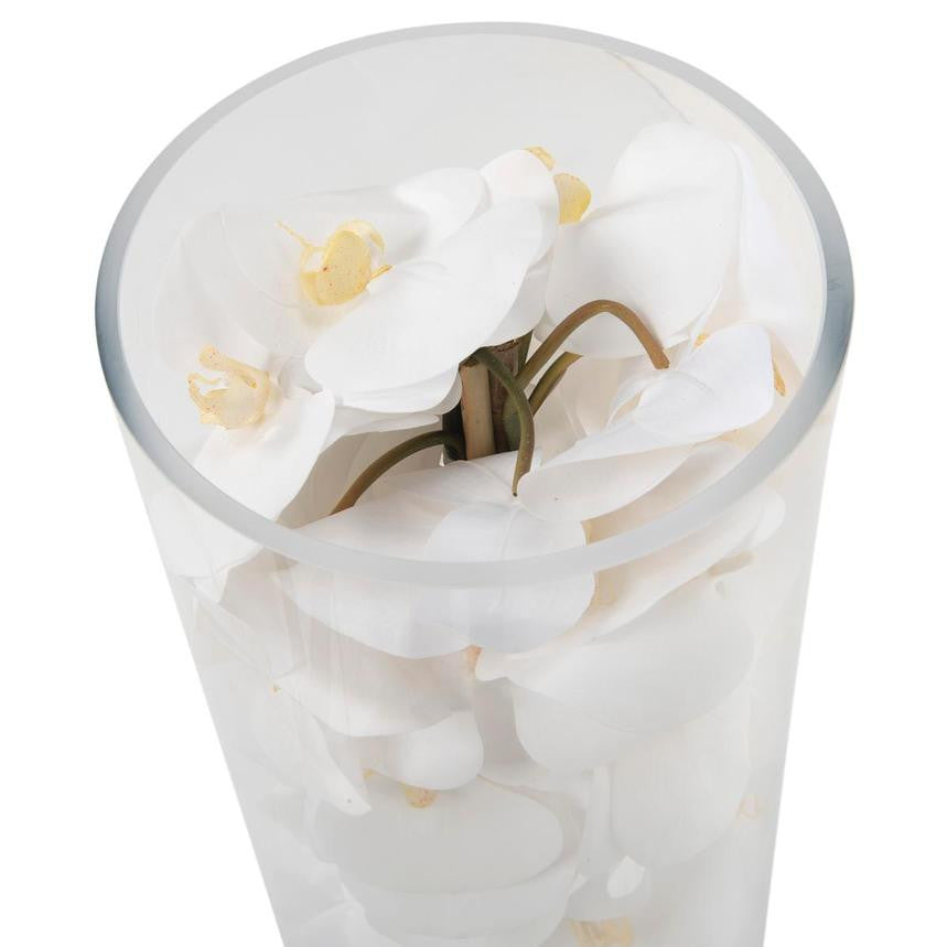 Cylindre en Verre avec Blanc Orchidées Phalaenopsis