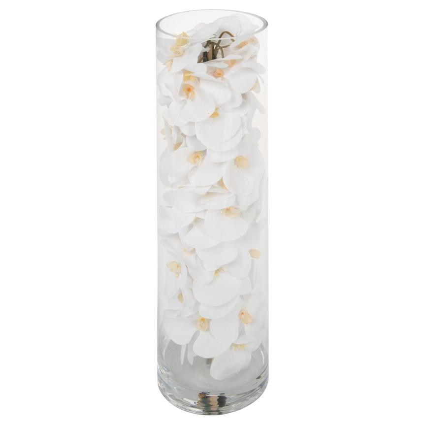 Cylindre en Verre avec Blanc Orchidées Phalaenopsis